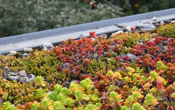the cost of Healaugh green roof installation